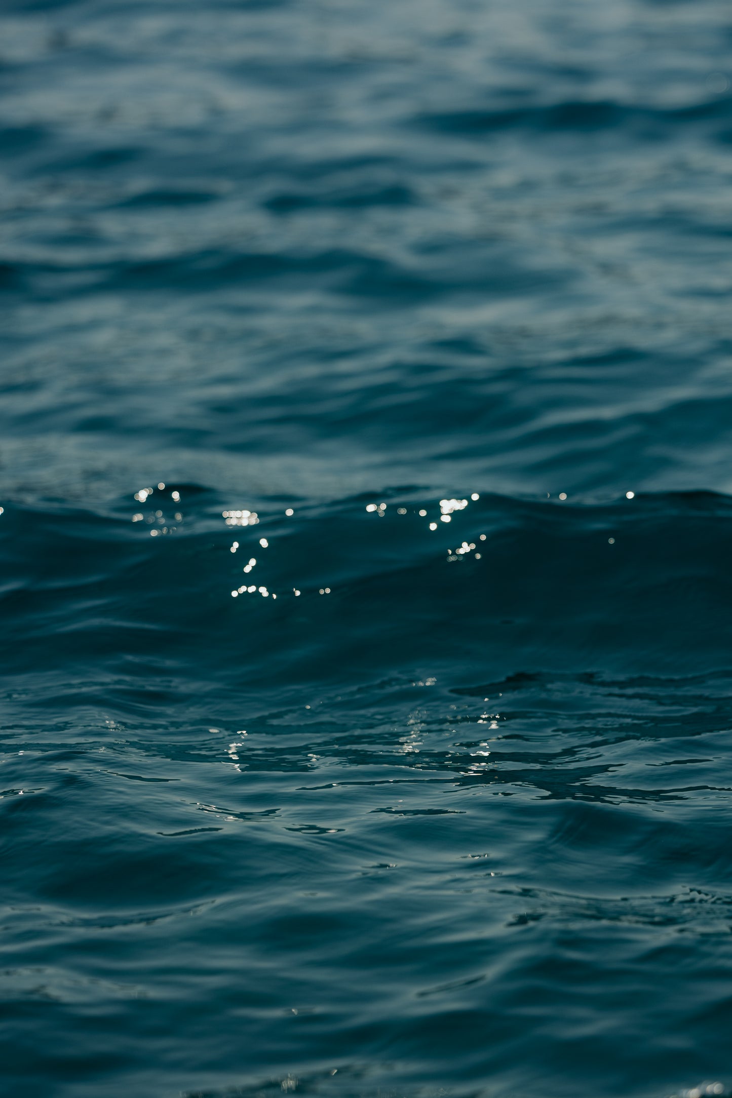 APERITIVO GALLEGGIANTE in SUP + Tour al Lago in SUP Albano di Castel Gandolfo